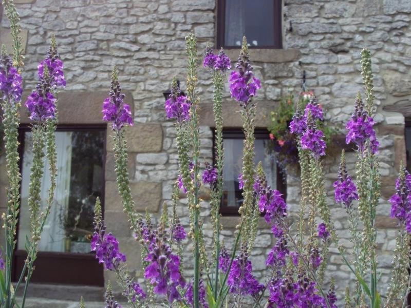 Old Coach House Apartamento Matlock  Exterior foto